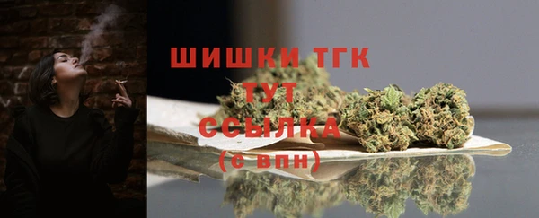ПСИЛОЦИБИНОВЫЕ ГРИБЫ Дмитриев