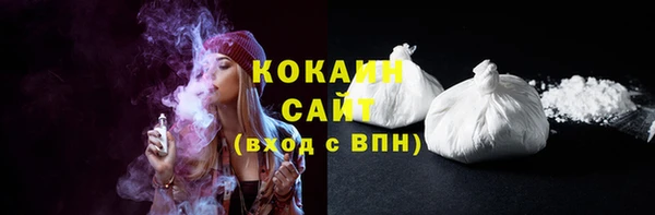 ПСИЛОЦИБИНОВЫЕ ГРИБЫ Дмитриев