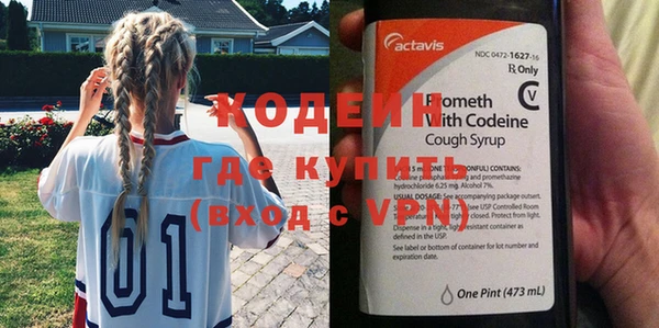 ПСИЛОЦИБИНОВЫЕ ГРИБЫ Дмитриев