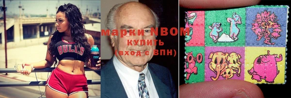 ПСИЛОЦИБИНОВЫЕ ГРИБЫ Дмитриев