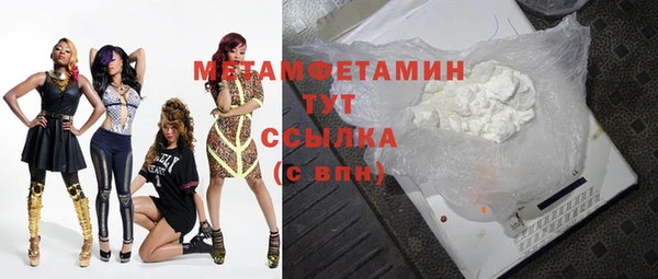 ПСИЛОЦИБИНОВЫЕ ГРИБЫ Дмитриев