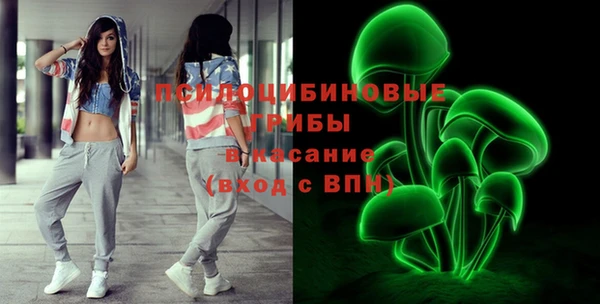 ПСИЛОЦИБИНОВЫЕ ГРИБЫ Дмитриев