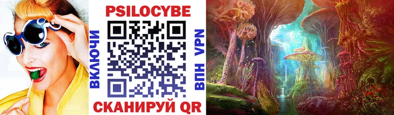 Галлюциногенные грибы Psilocybine cubensis  магазин    Тюмень 